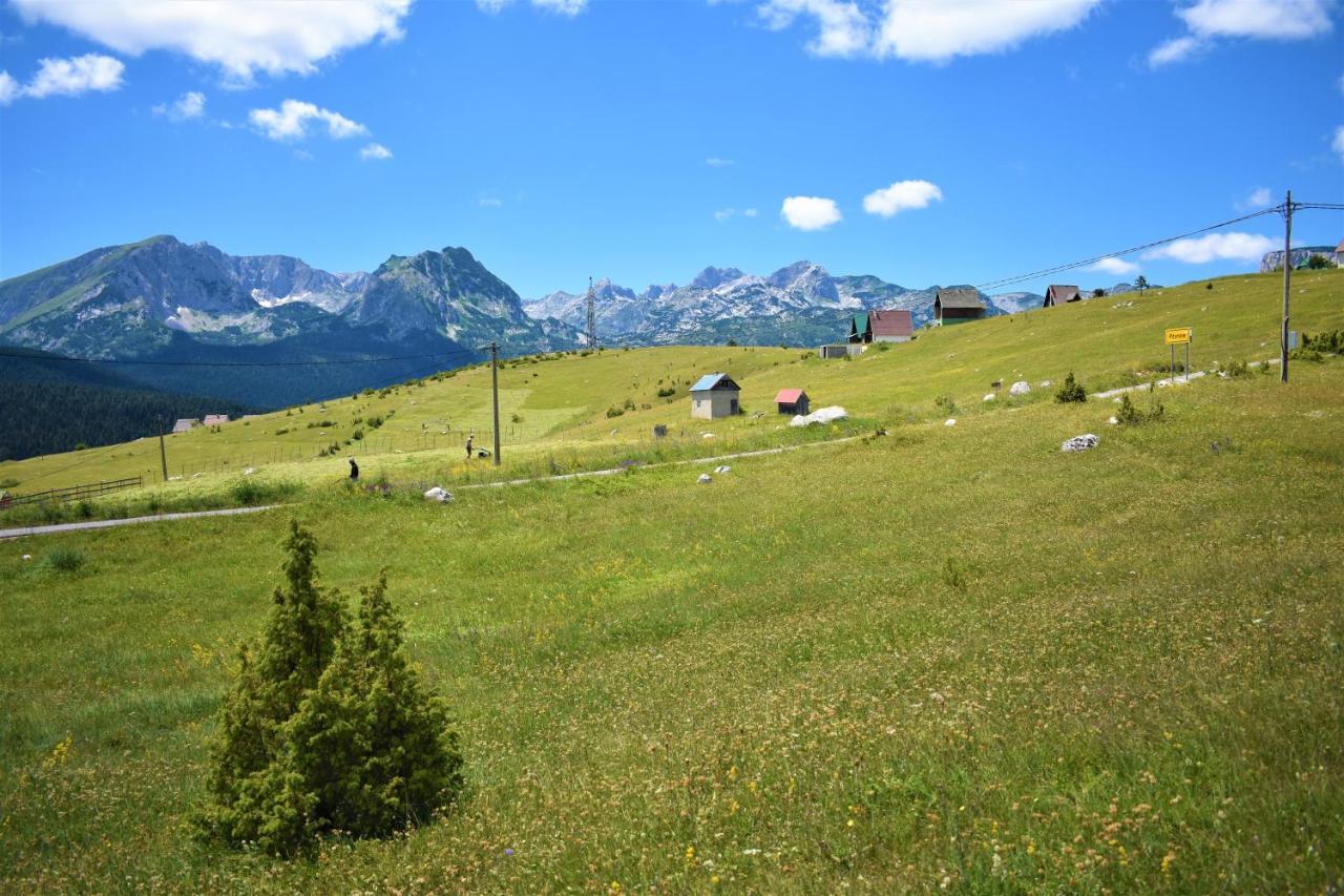 Durmitor View Villa Žabljak Eksteriør bilde